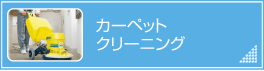 カーペットクリーニング