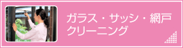 ガラス・サッシ・網戸クリーニング