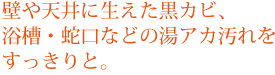 壁や天井に生えた黒カビ、浴槽・蛇口などの湯アカ汚れをすっきりと。