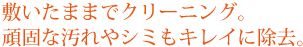 敷いたままでクリーニング。頑固な汚れやシミもキレイに除去。