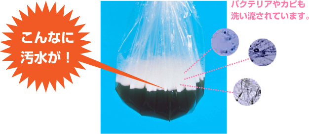 こんなに汚水が！ バクテリアやカビも 洗い流されています。