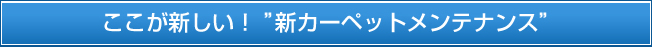 ここが新しい！ “新カーペットメンテナンス”