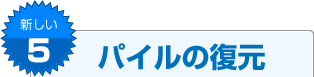 新しい5 パイルの復元